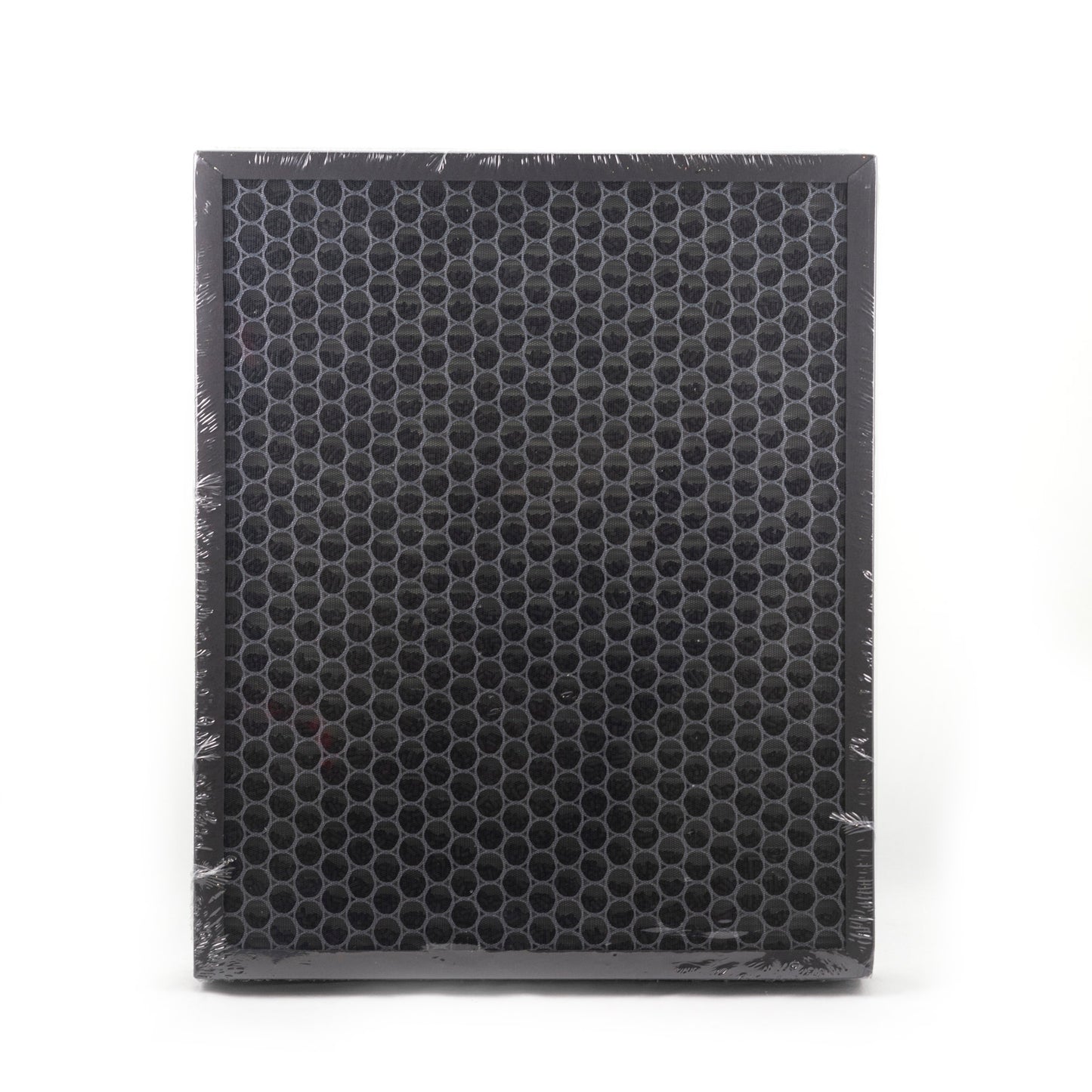 Filtro rimovibile 3 in 1 per il purificatore AP2040