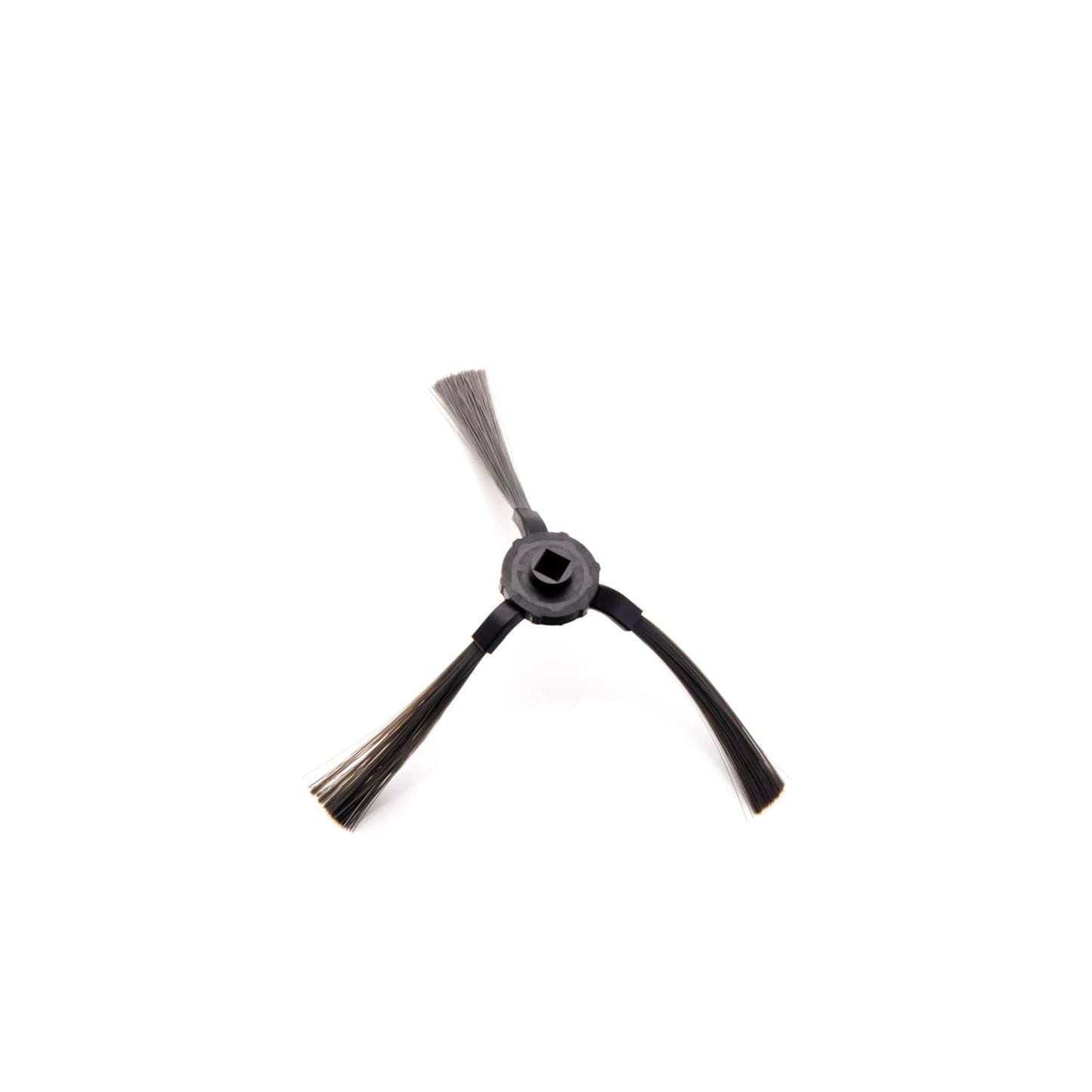 Escova lateral direita da pátria