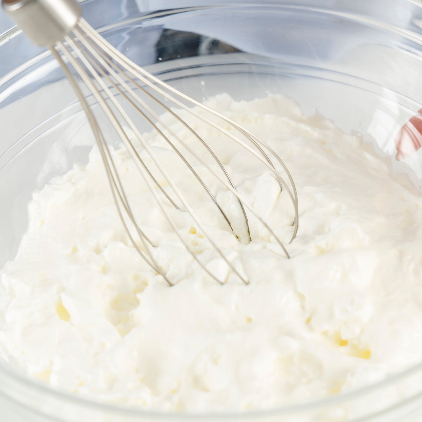 ROBOT 1000 PLUS INOX