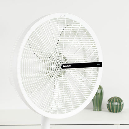 ICE BRISE XL COMPACT
