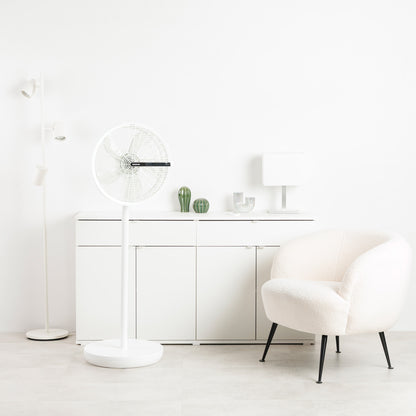 ICE BRISE XL COMPACT