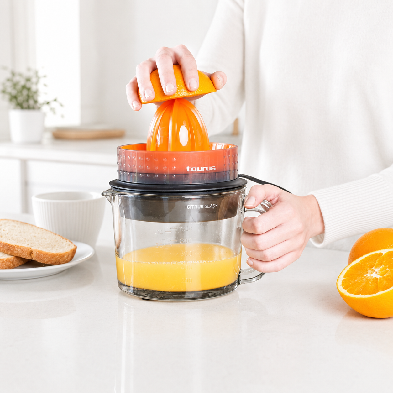 CITRUS GLASS